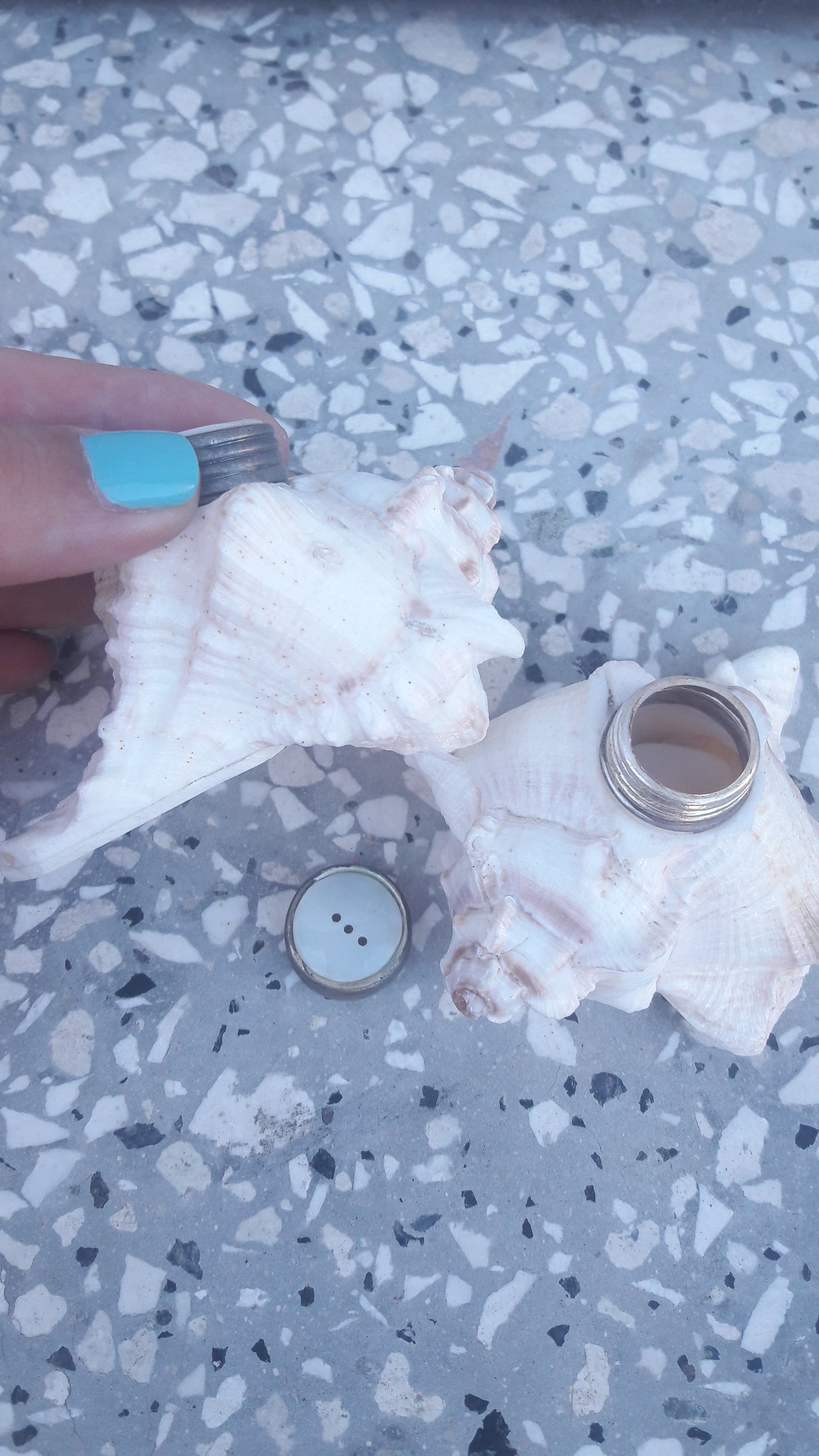 Shell Salt & Pepper Set