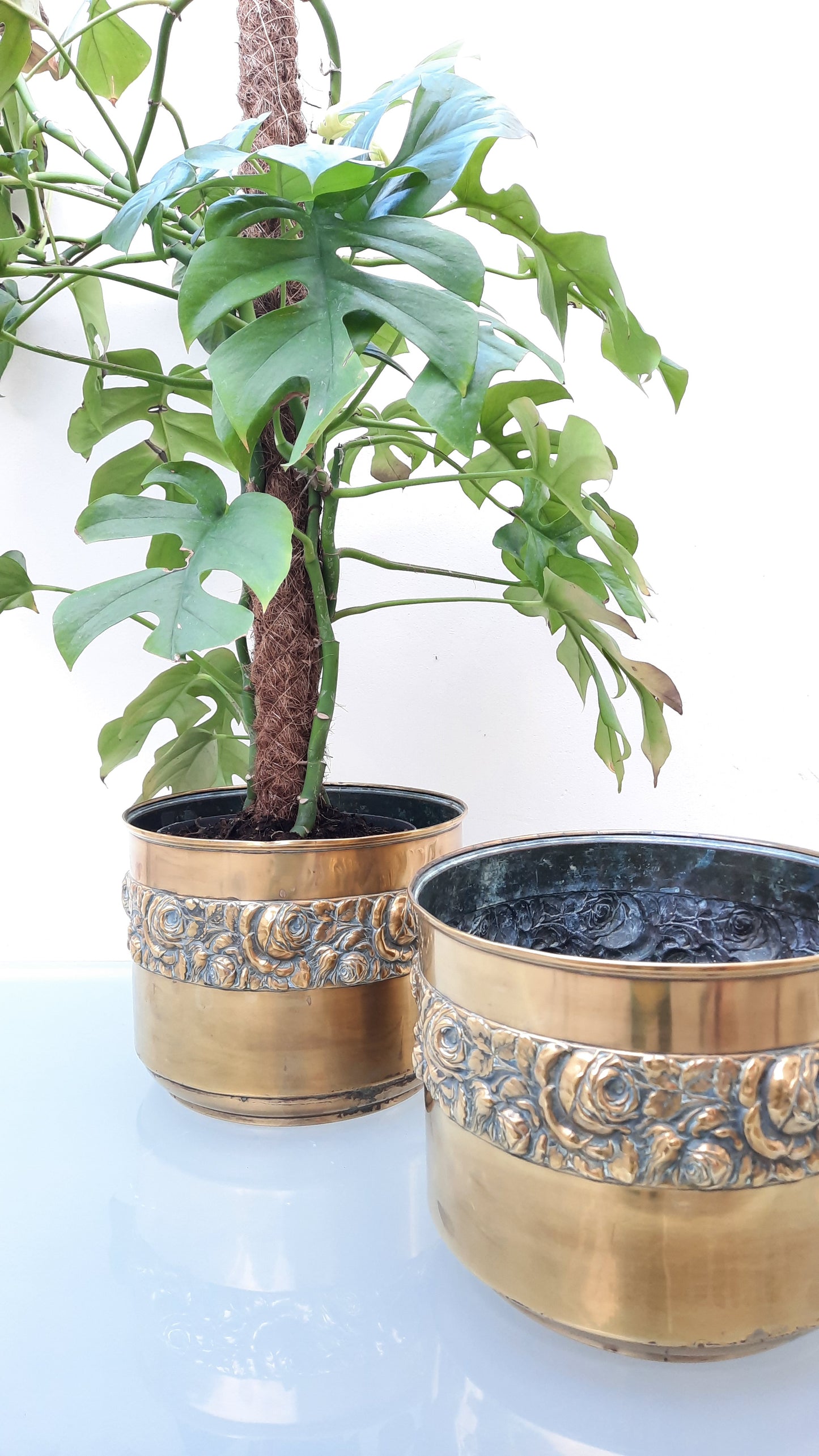 Large Brass Rose Embossed Planters