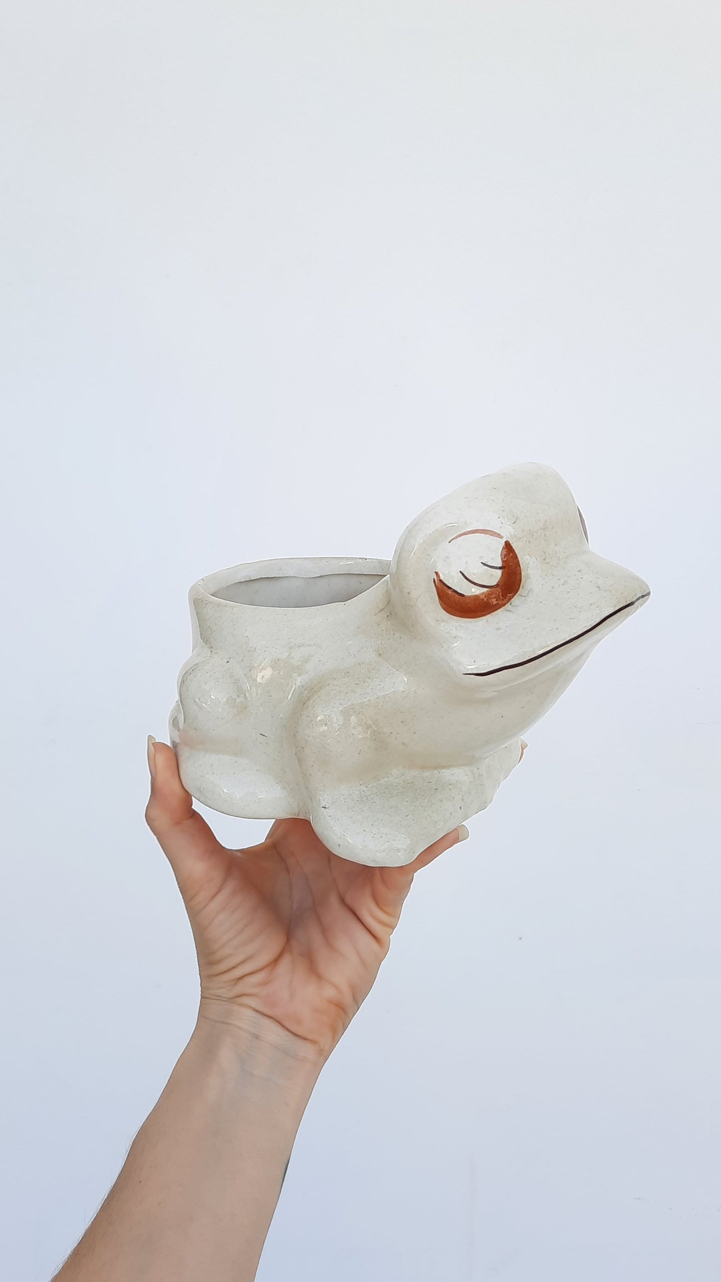Vintage Ceramic Frog Planter